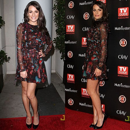 10 Lea Michele wore an Erdem dress for the TV Guide Magazine on Nov 8 2010